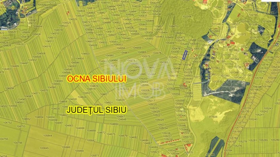 Teren extravilan - Talmaciu - Poză 2