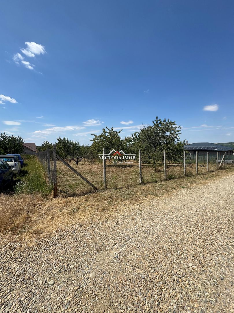 NECTORA IMOB-Teren INTRAVILAN 1000 mp, Zona PALEU, Utilitati incluse - Poză 7