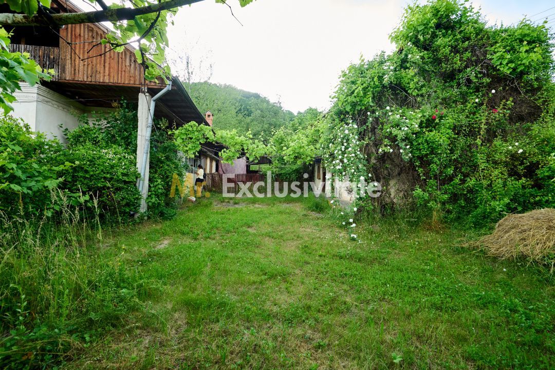 Casa cu teren generos - 4696 mp Apa Sarata - Campulung !! - Poză 22
