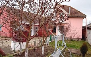 OFERTĂ in Băcia, Hunedoara ! Proprietate 2 case + Cabană + Livadă - Poză 23