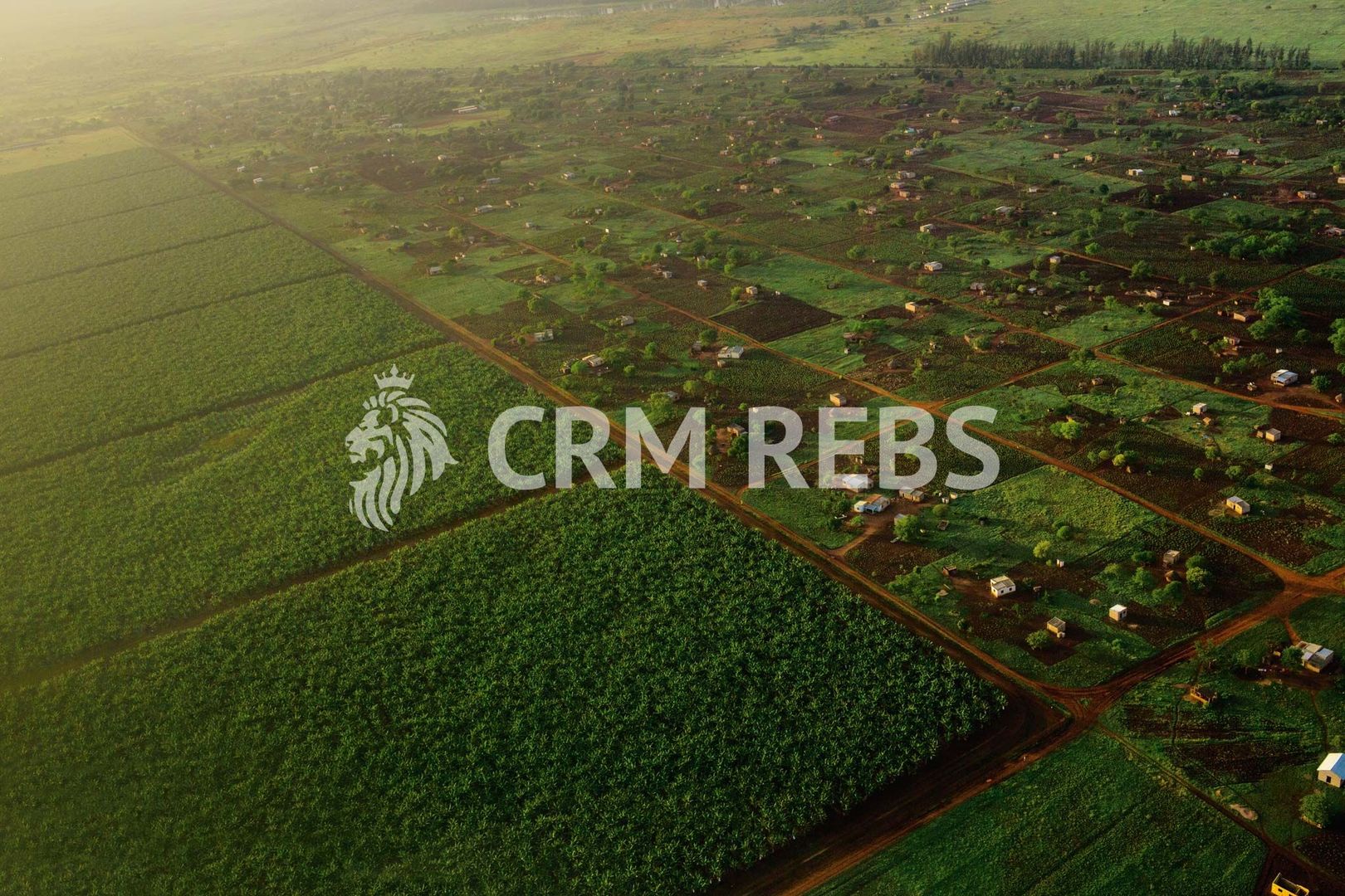 Vanzare teren 450 mp, cu Autorizatie de Constructie Casa 290 mp utili ! - Poză 2