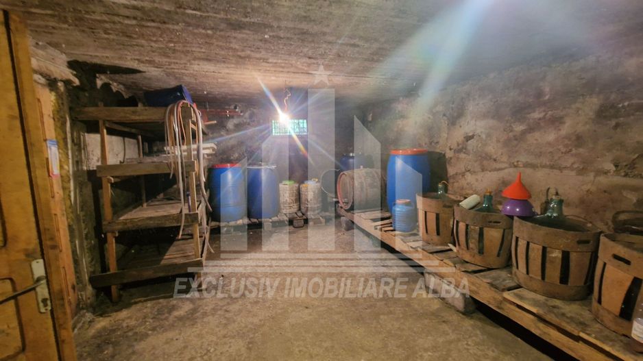 Casa cu livada in Cetea - Poză 15