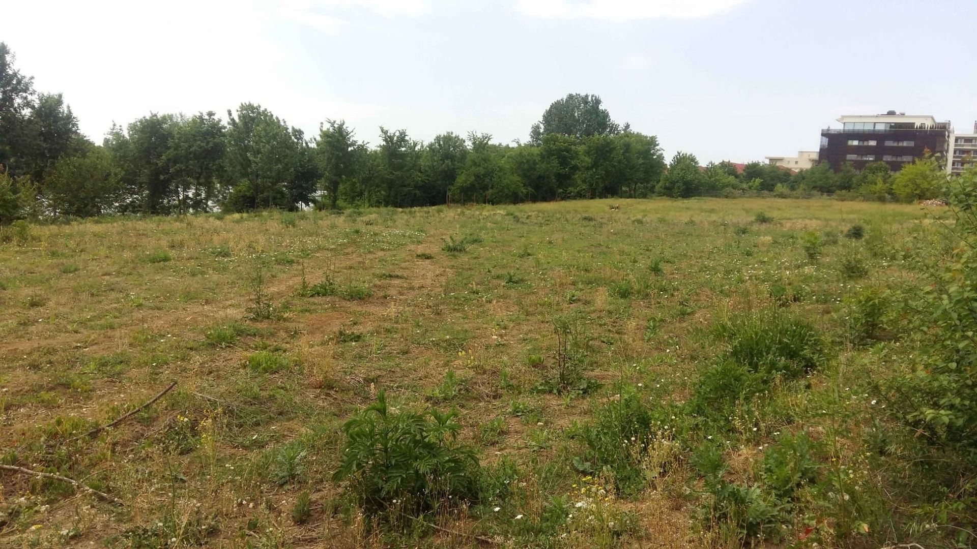 Teren 6000 mp pozitie deosebita lacul Baneasa adancime 140 m - Poză 15