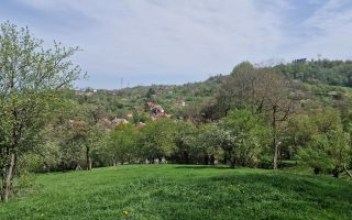 Langa emblematicul Castelul Bran, in areal colinar, 5.700mp intravilan - Poză 12