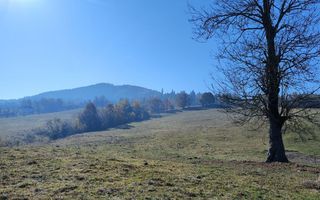 Teren de vanzare, intravilan, 16667 mp, Abrud, Jud. Alba - Poză 2