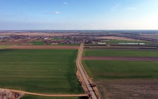 Ferma si livada de meri in judetul Ilfov - Poză 19