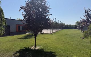 Hala P+1 cu birouri, depozit si teren 2.641 mp de vanzare Timisoara - Poză 9