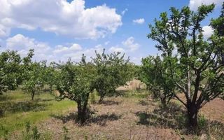 Teren de 3.360 mp în Comuna Holboca, zonă rezidențială nouă, cu utilități la 50 m - Poză 3