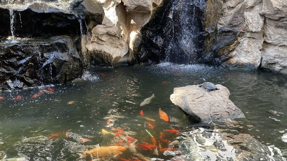 Studio in zona Herastrau - Poză 2