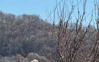 TEREN INTRAVILAN 2800MP CAMPULUNG ZONA PESCAREASA - Poză 5