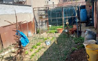 1\2 DUPLEX, DE VÂNZARE, 4 camere\CARANSEBEȘ\ ZONĂ CENTRALĂ\JUD.CS - Poză 19