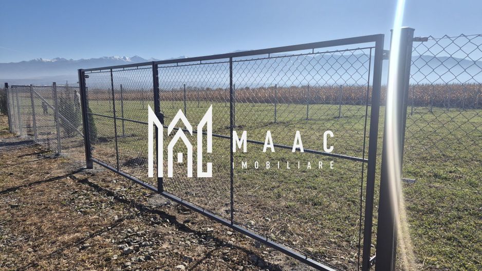 Teren | EXTRAVILAN | 500 MP | Bradu - Poză 4