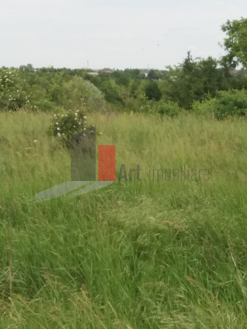 Teren Buftea cu iesire la lac - Poză 13