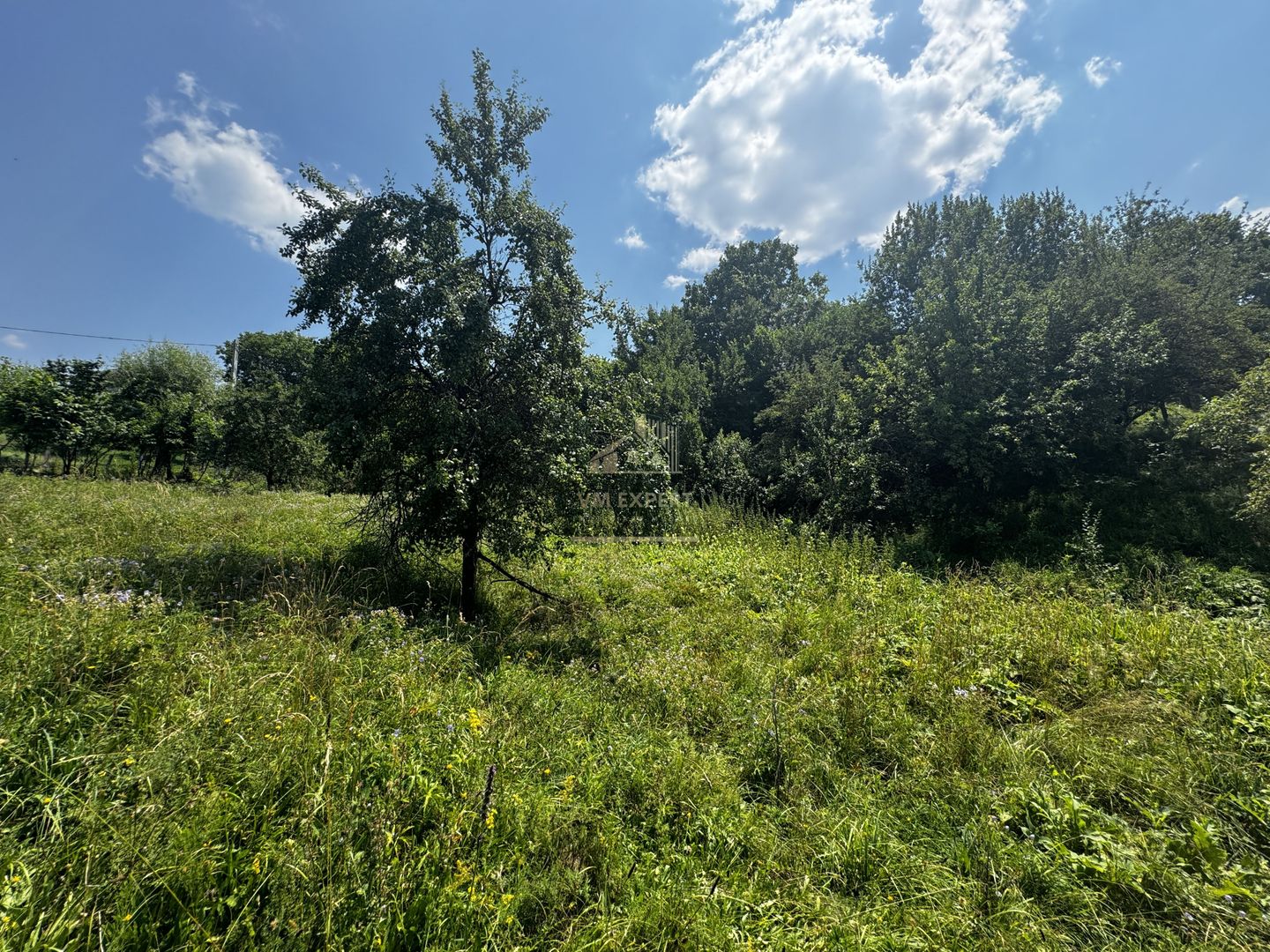 TEREN INTRAVILAN 2146 MP, ALBESTII DE MUSCEL, ARGES - Poză 9