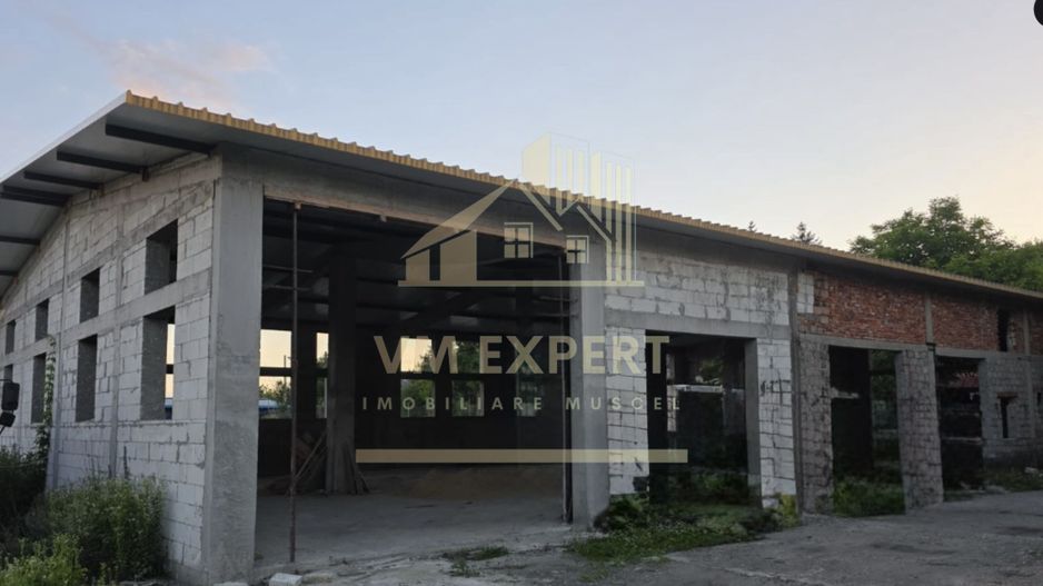 HALĂ INDUSTRIALĂ DE ÎNCHIRIAT – 600 MP | ACCES TIR– CÂMPULUNG - Poză 10