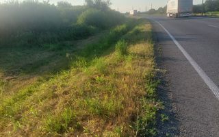 TEREN DE VÂNZARE-32480 mp CARANSEBEȘ JUD.CS,  0% COMISION - Poză 5