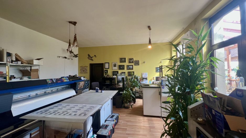 IMOBIL CU GRADINA PROPRIE - Poză 3