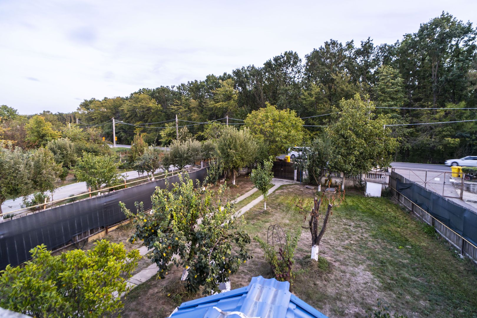 Ciorogarla, stradal, spatiu birou / sediu firma / pretabil investitie - Poză 4