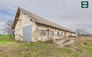 Proprietate industrială + Teren 8.632 - Voiteg - Județul Timiș - Poză 22
