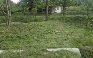 Oază de liniște și natură! Casă  cu 2 heleșteie și pârâu în curte – Probota - Poză 10