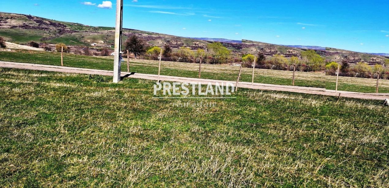 Teren situat în Daia Nouă!! - Poză 3