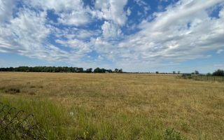 Teren Intravilan 1 ha – Acces Drum Asfalt | Ideal Rezidențial - Poză 2