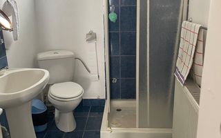 Casă 216 mp cu vie și livadă, 2709 mp teren – Horodiștea, comuna Cotnari, Iași - Poză 8