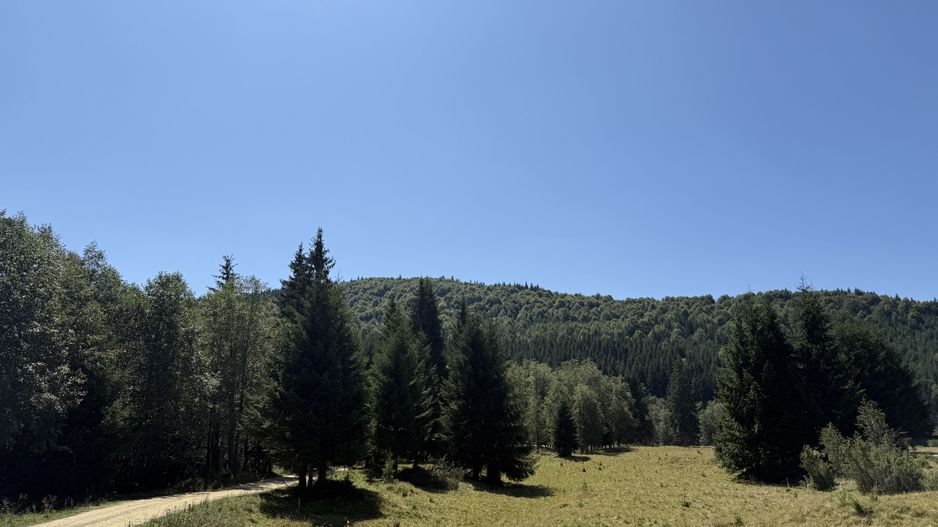 SUPER OCAZIE  - Teren intravilan, COMANDAU-PUZ case de vacanta. - Poză 8