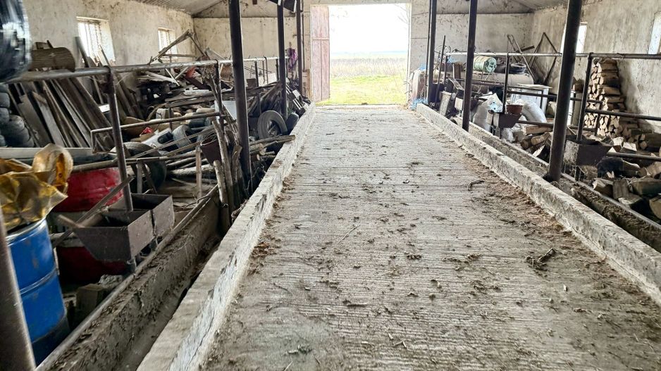 Pret redus Teren generos cu grajd nou in Varsand - Poză 6