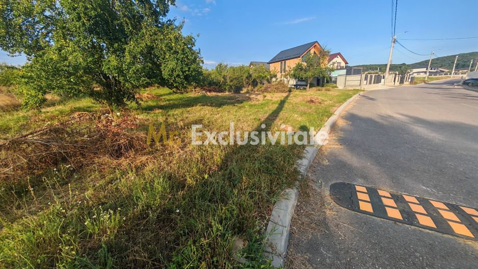 Teren intravilan 1.600 mp Mioveni – Zona Pruni - Poză 2
