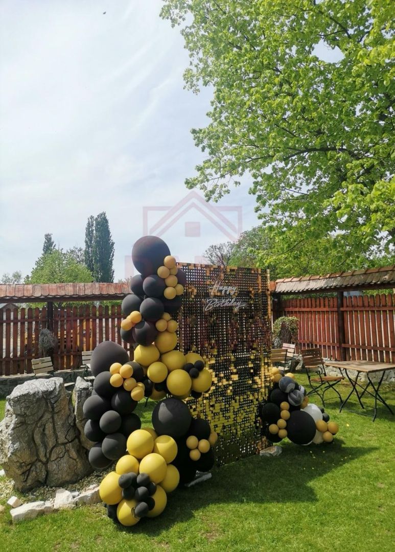 CASĂ\VILĂ DE VÂNZARE \COM. OBREJA\SAT IAZ\CARAȘ-SEVERIN - Poză 8