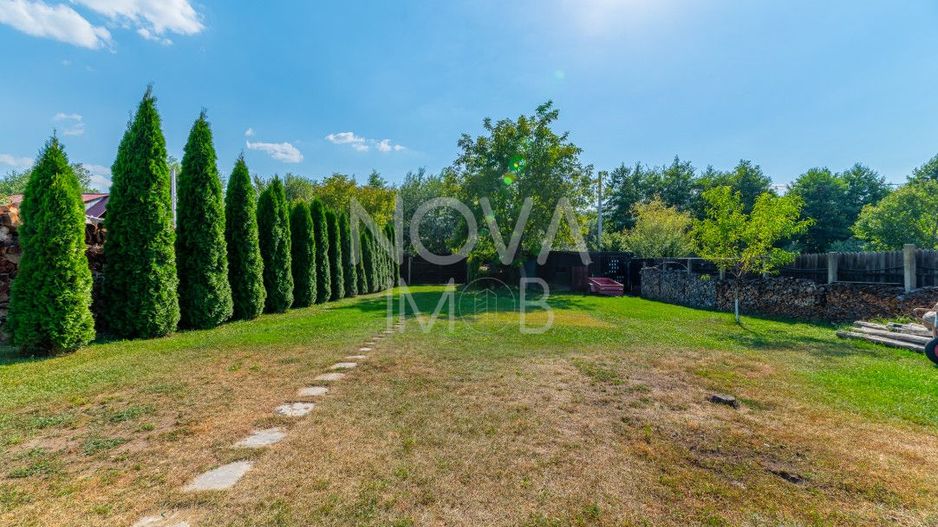 Casa + Pensiune deosebita - Orlat, Sibiu - Poză 61