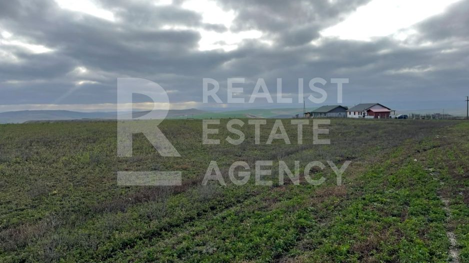 Teren 10.000 mp: 5.000 mp intravilan + 5.000 mp extravilan – Horlești - Poză 2