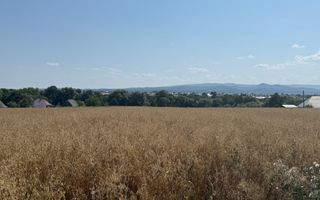 Teren intravilan de vânzare | Horodnic de Sus | 77 ari - Poză 4