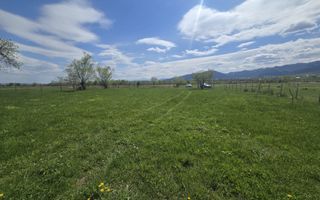 Teren 5400 mp superb cu livada si vedere spre munti Orlat - Poză 1