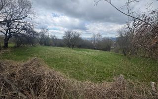 TEREN INTRAVILAN 2153 MP IN VALEA MARE PRAVAT - Poză 2