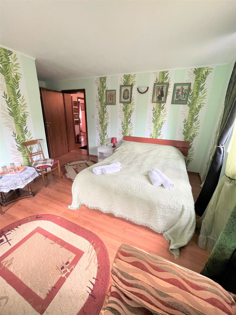 Proprietate in incantarea naturii, oportunitate investitie/rezidential, Predeal - Poză 23