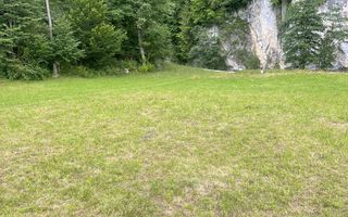 Teren pentru investiție turistică în Dâmbovicioara – Baranga | 4.500 mp | Front ~102 ml - Poză 12
