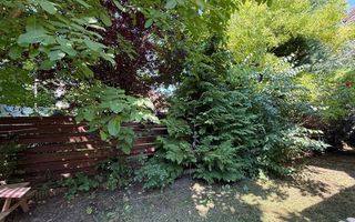 Inchiriere duplex 3 camere | Tunari | Pet friendly | Garaj - Poză 2