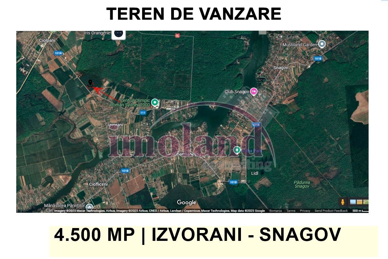 Teren intravilan - 4500 mp - Izvorani - Padurea Snagov - Poză 3