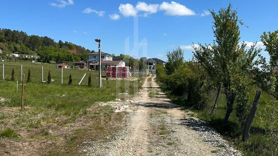 TEREN 600 MP | VEDERE PANORAMICĂ | LA MARGINEA PĂDURII | Tocile, SIBIU - Poză 6