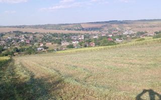 Teren extravilan de vânzare în Vânători, comuna Popricani - Poză 2