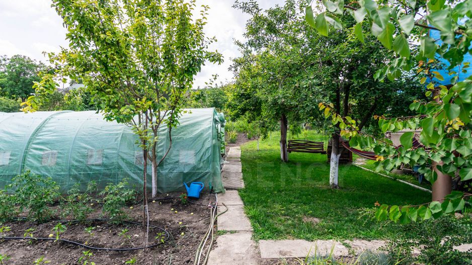 Vânzare, casă, 5 camere,  Vadul lui Vodă - Poză 17