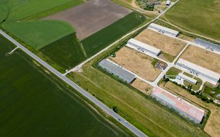 Teren Intravilan Investiții 11.600 mp Salonta - Poză 8