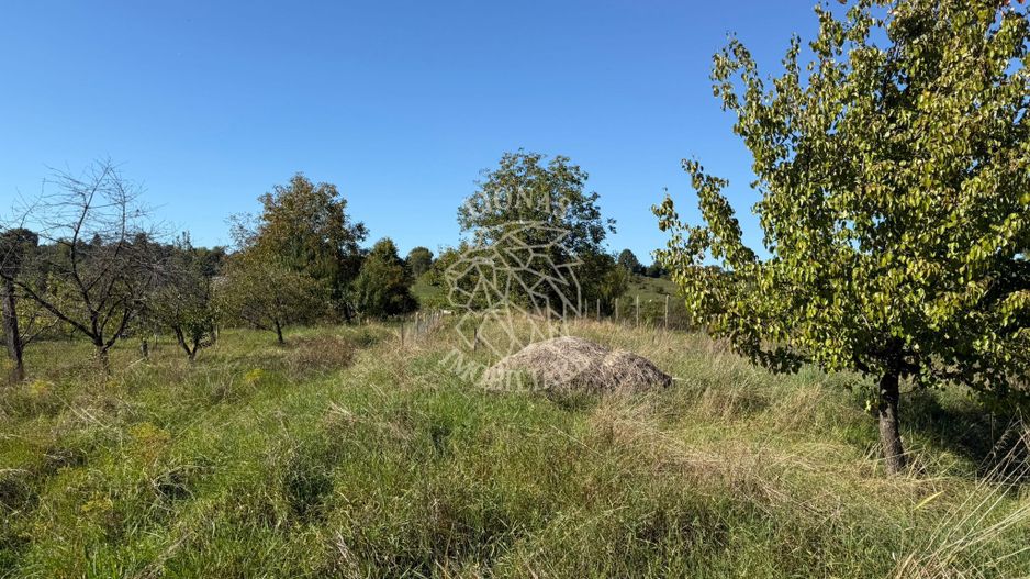 Teren intravilan 965 mp-imprejmuit-ideal casa-Livezile - Poză 4