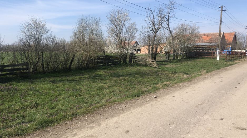 Teren Cheveresul Mare-2863 mp - Poză 1