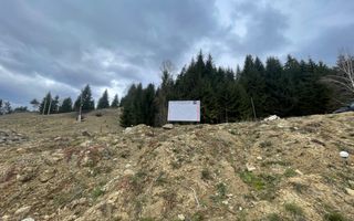 Teren parcelabil cu acces rapid la lacul Colibita - Poză 4