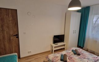 Apartament 1 camera regim hotelier Provista - Narcisei - Poză 5