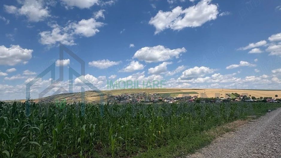 Teren Intravilan de Vanzare in Letcani, Judetul Iasi - 3.684 mp - Poză 2