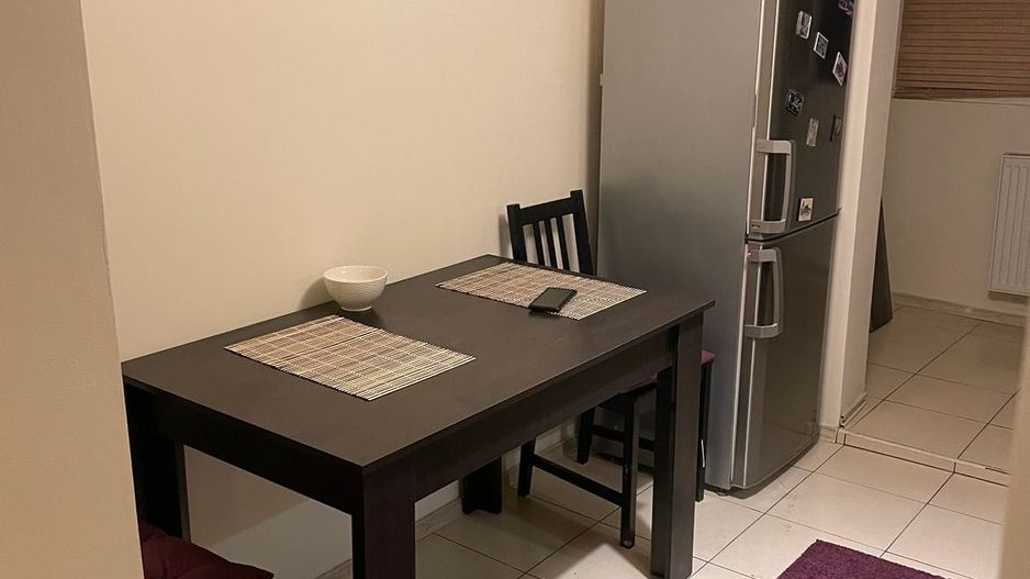 Apartament 3 camere craisorului- petre ispirescu -13 Septembrie. - Poză 7